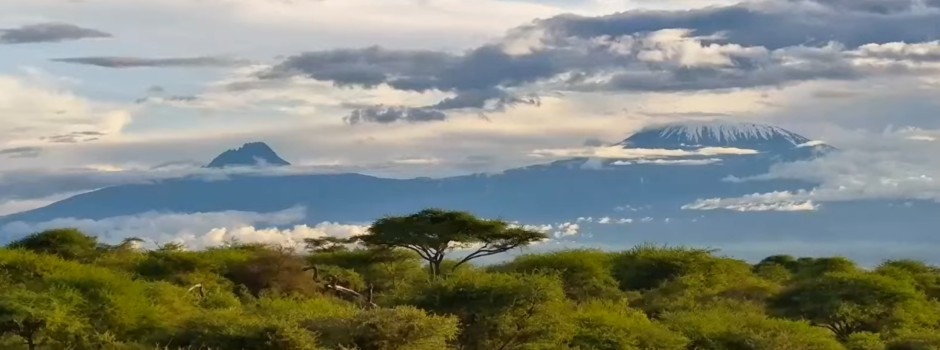 Africa.png